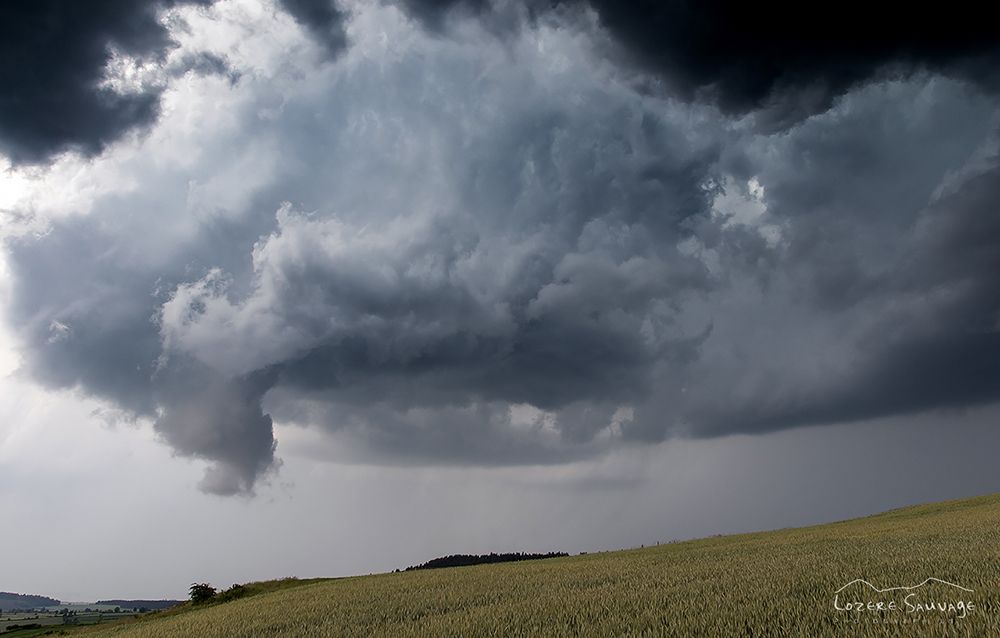découvrez les conséquences des orages dévastateurs en france, leurs impacts sur l'environnement et la vie quotidienne, ainsi que les mesures prises pour faire face à ces phénomènes climatiques extrêmes.