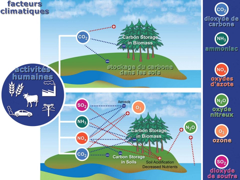découvrez les enjeux des risques climatiques : impacts sur l'environnement, les économies et la société. apprenez comment anticiper et atténuer ces défis pour un avenir plus durable.