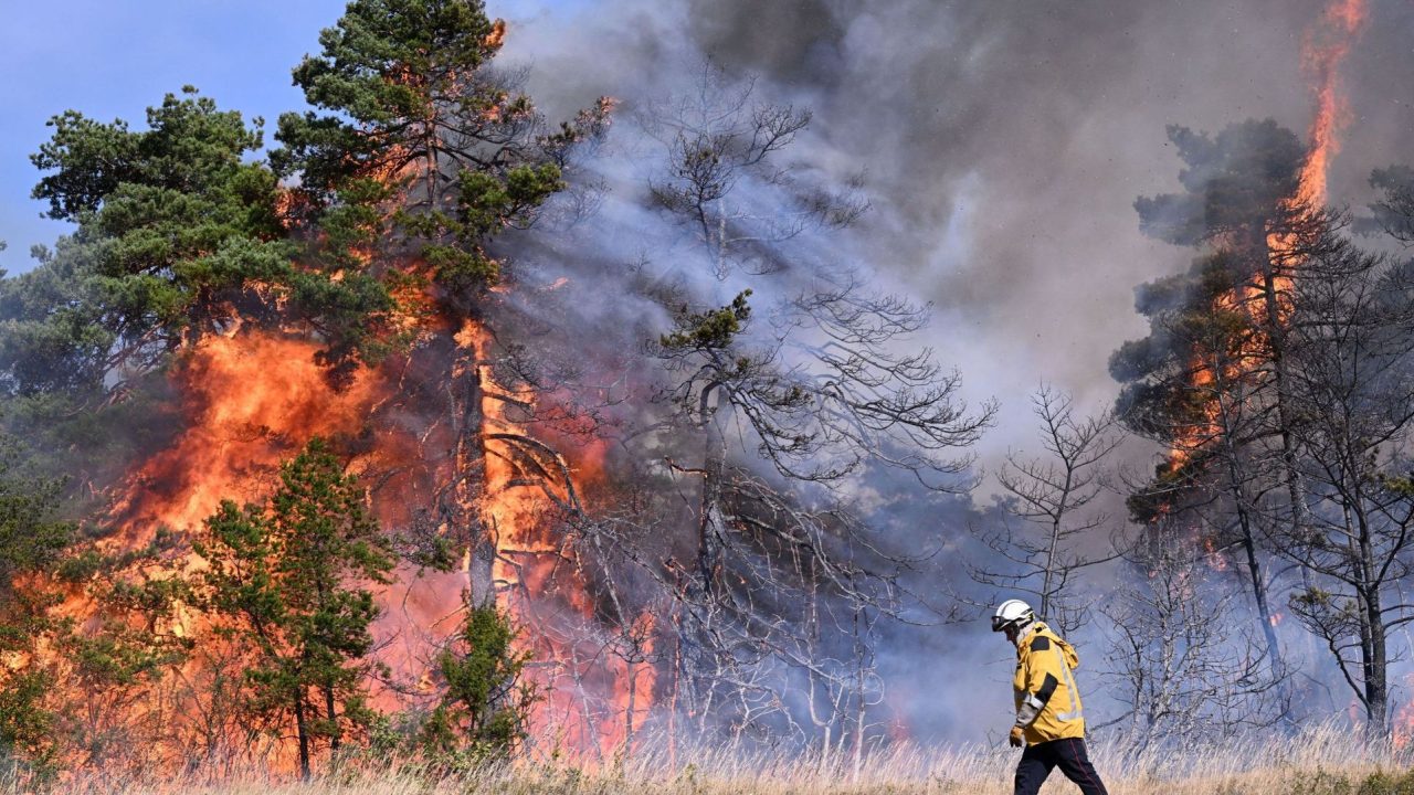 découvrez les causes et les conséquences des incendies de forêt, ainsi que les mesures de prévention et de gestion des crises écologiques. apprenez à protéger notre environnement face à cette menace grandissante.