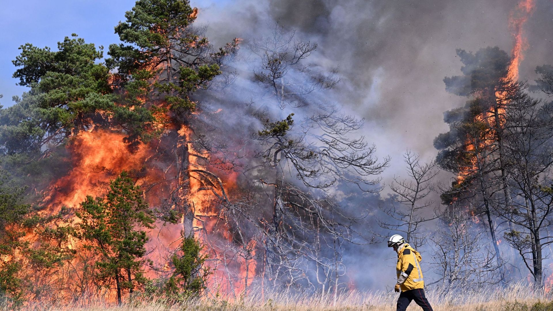 découvrez les causes et les conséquences des incendies de forêt, ainsi que les mesures de prévention et de gestion des crises écologiques. apprenez à protéger notre environnement face à cette menace grandissante.