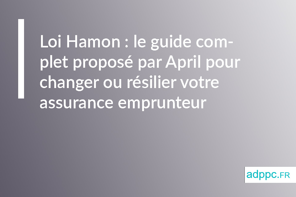 découvrez tout sur la loi hamon concernant l'assurance : ses objectifs, ses avantages pour les consommateurs et comment elle révolutionne le marché de l'assurance en france. informez-vous sur vos droits et les meilleures pratiques pour bénéficier de cette législation.
