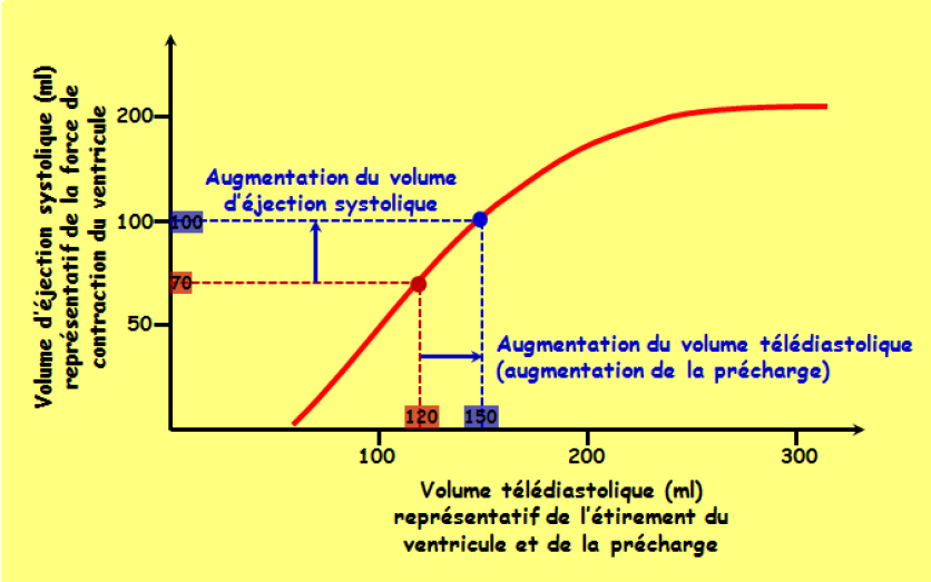 découvrez tout ce qu'il faut savoir sur la loi du nevada concernant les assurances incendies : obligations, couverture, démarches et conseils pour bien protéger vos biens en toute conformité.