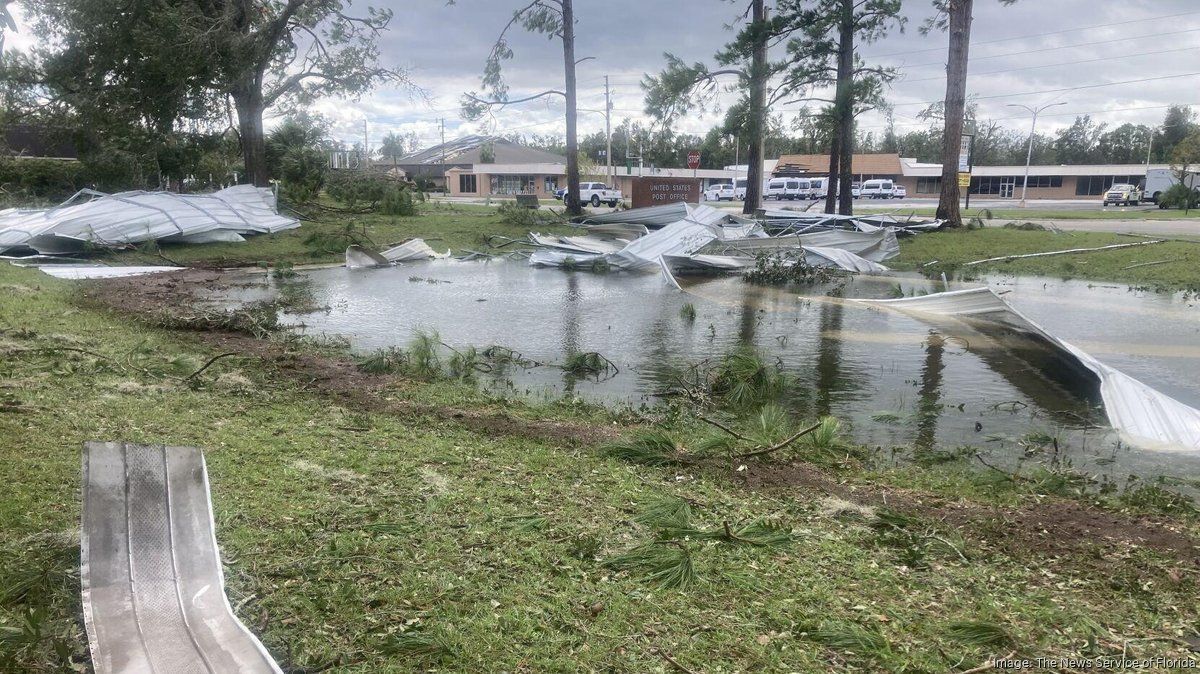 découvrez comment state farm devient le premier assureur en floride face à la baisse de citizens property insurance, offrant des solutions fiables et adaptées aux habitants.