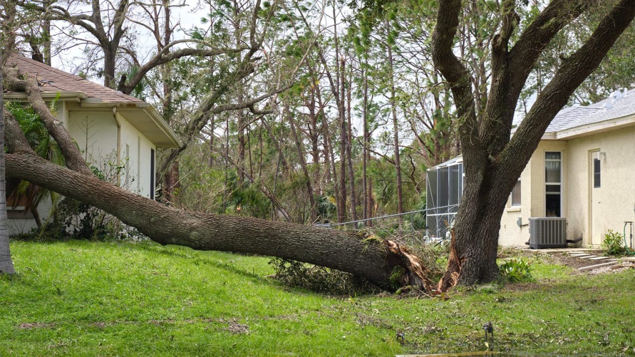 guide complet pour préparer votre dossier d'indemnisation suite à la tempête goretti, incluant les documents nécessaires et les démarches à suivre.