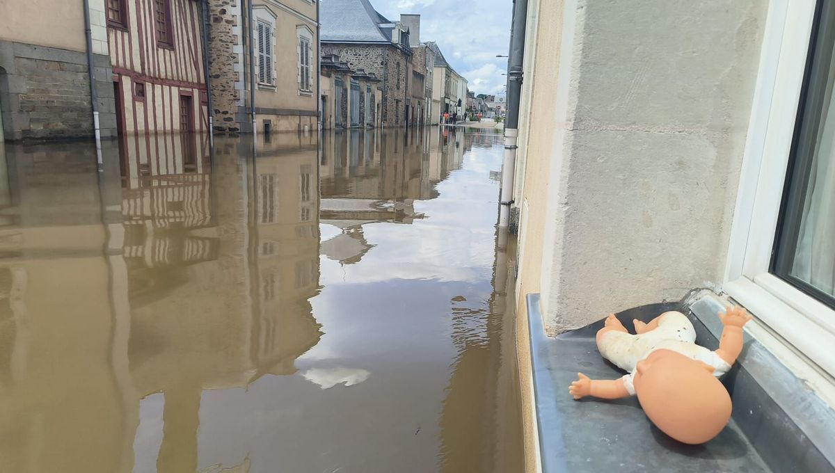 découvrez les limites des assurances face aux crues et ce que les sinistrés doivent savoir pour mieux se protéger.