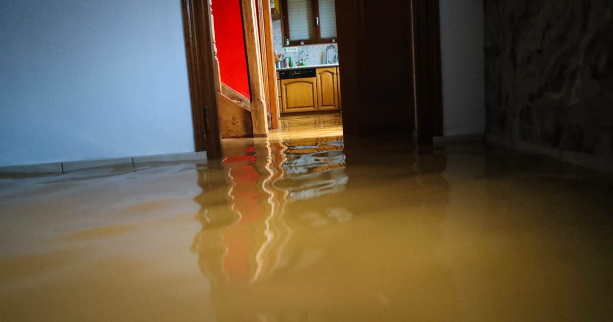 découvrez pourquoi les tarifs des assurances habitation augmentent après les inondations et comment protéger votre logement contre ces risques naturels.
