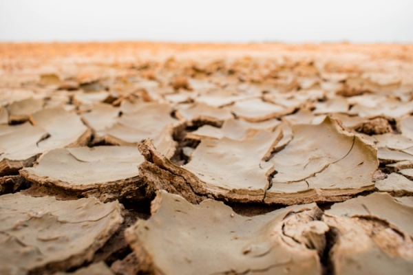 découvrez comment obtenir une indemnisation rapide et efficace grâce à votre assurance en cas de catastrophes naturelles. conseils et démarches pour protéger vos biens.