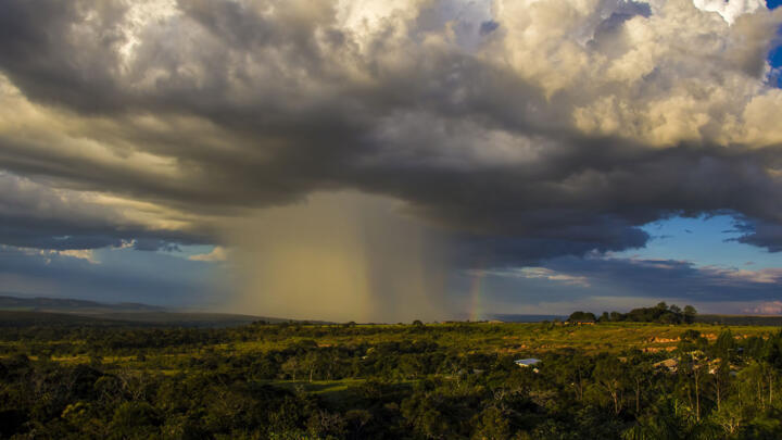 découvrez comment les événements climatiques extrêmes mettent en péril les élections et la démocratie, impactant la stabilité politique et sociale.
